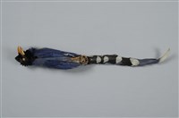 臺灣藍鵲藏品圖，第9張